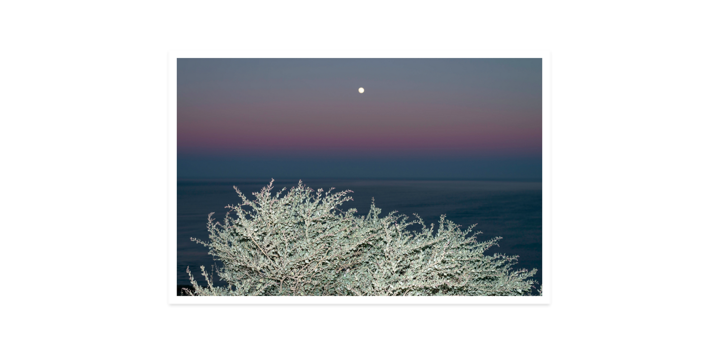 Image rendered by ArtFlows