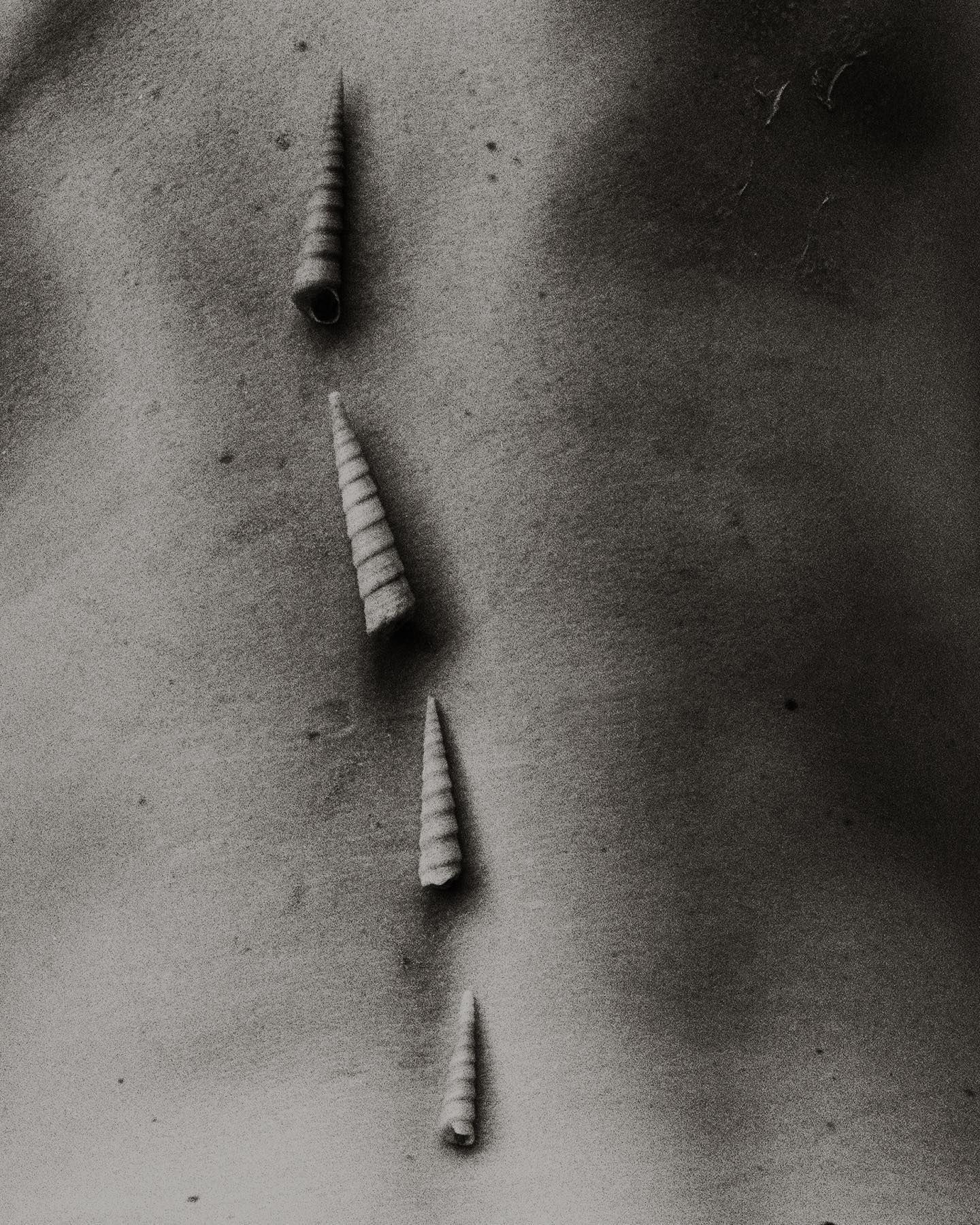 FG - Going north - Print