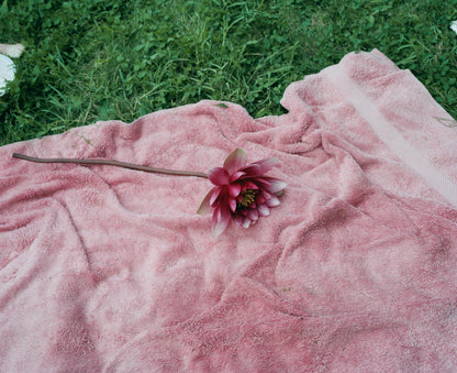 Pink on pink