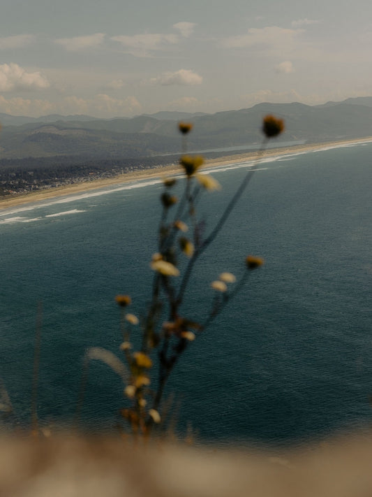 Oregon Coast - Print