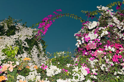 Flowery