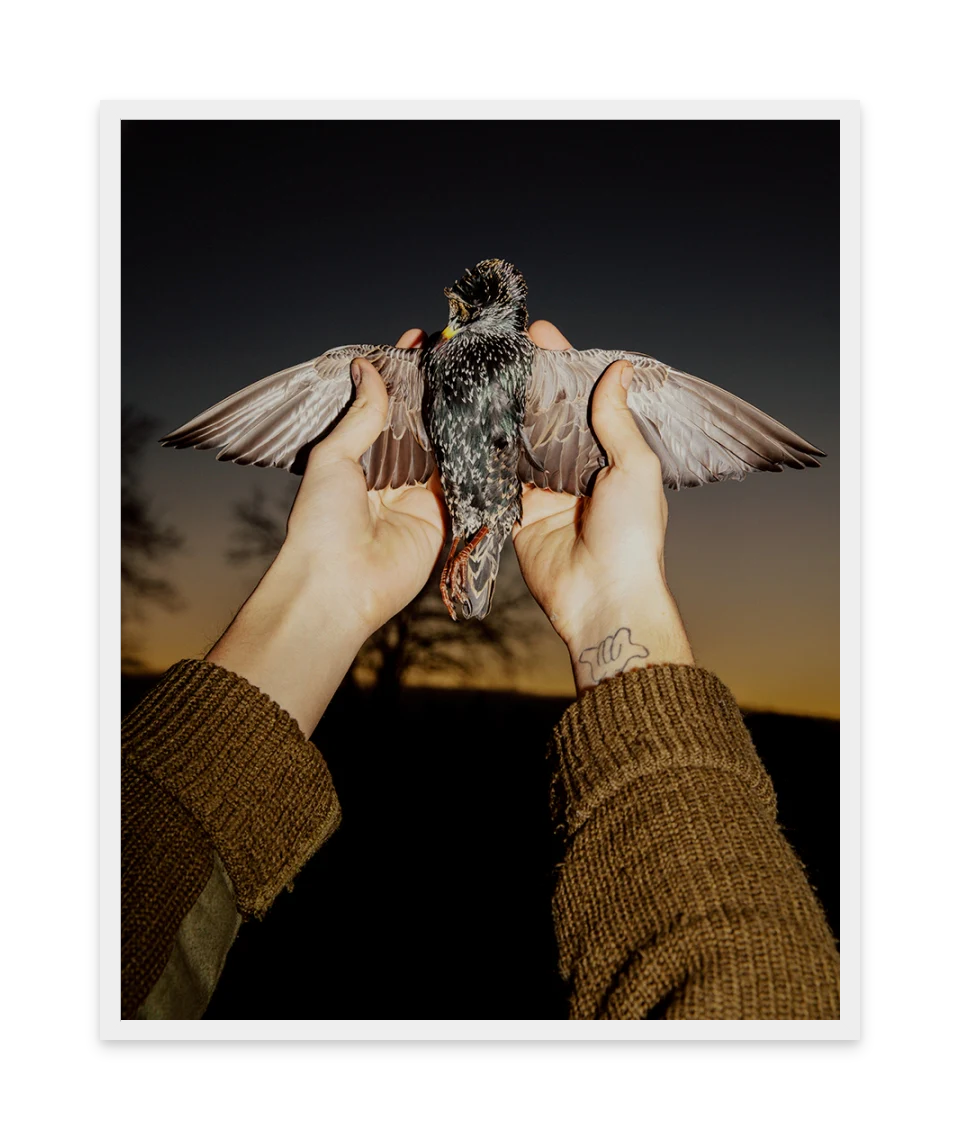 Image rendered by ArtFlows