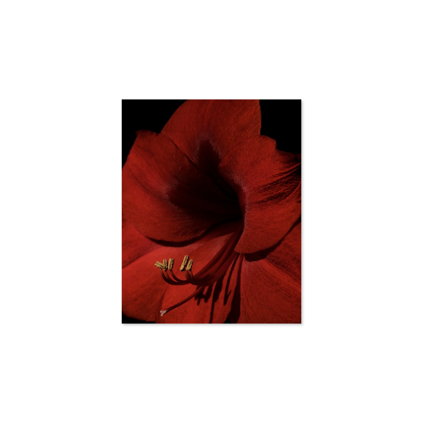 Image rendered by ArtFlows