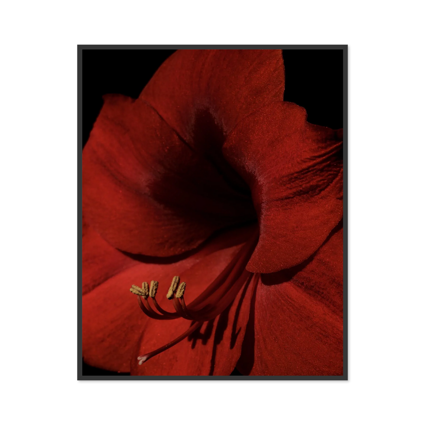 Image rendered by ArtFlows
