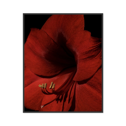 Image rendered by ArtFlows