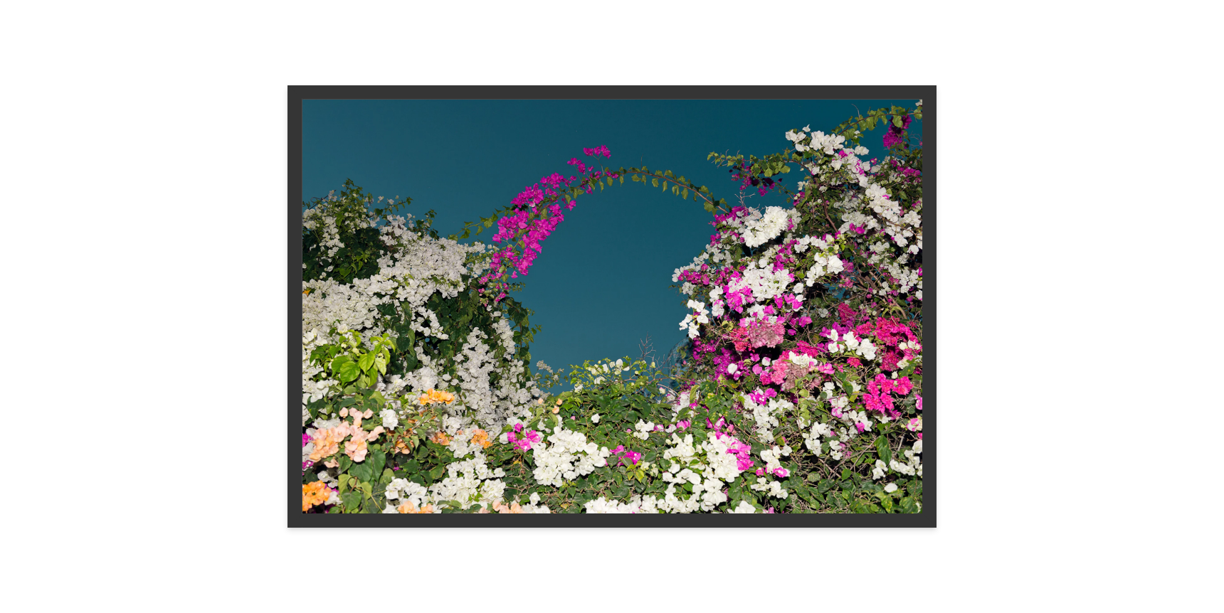 Image rendered by ArtFlows