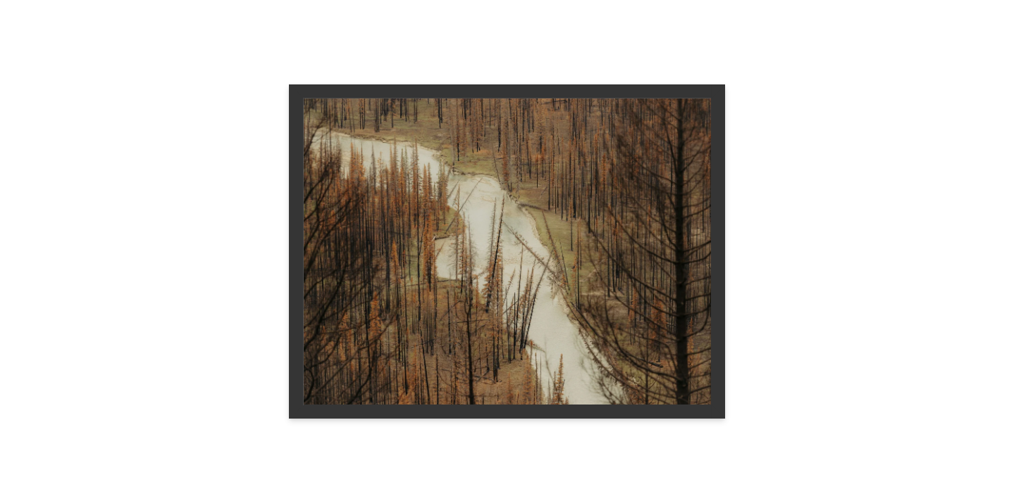 Image rendered by ArtFlows