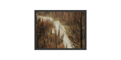 Image rendered by ArtFlows