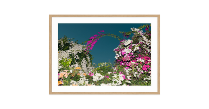 Image rendered by ArtFlows