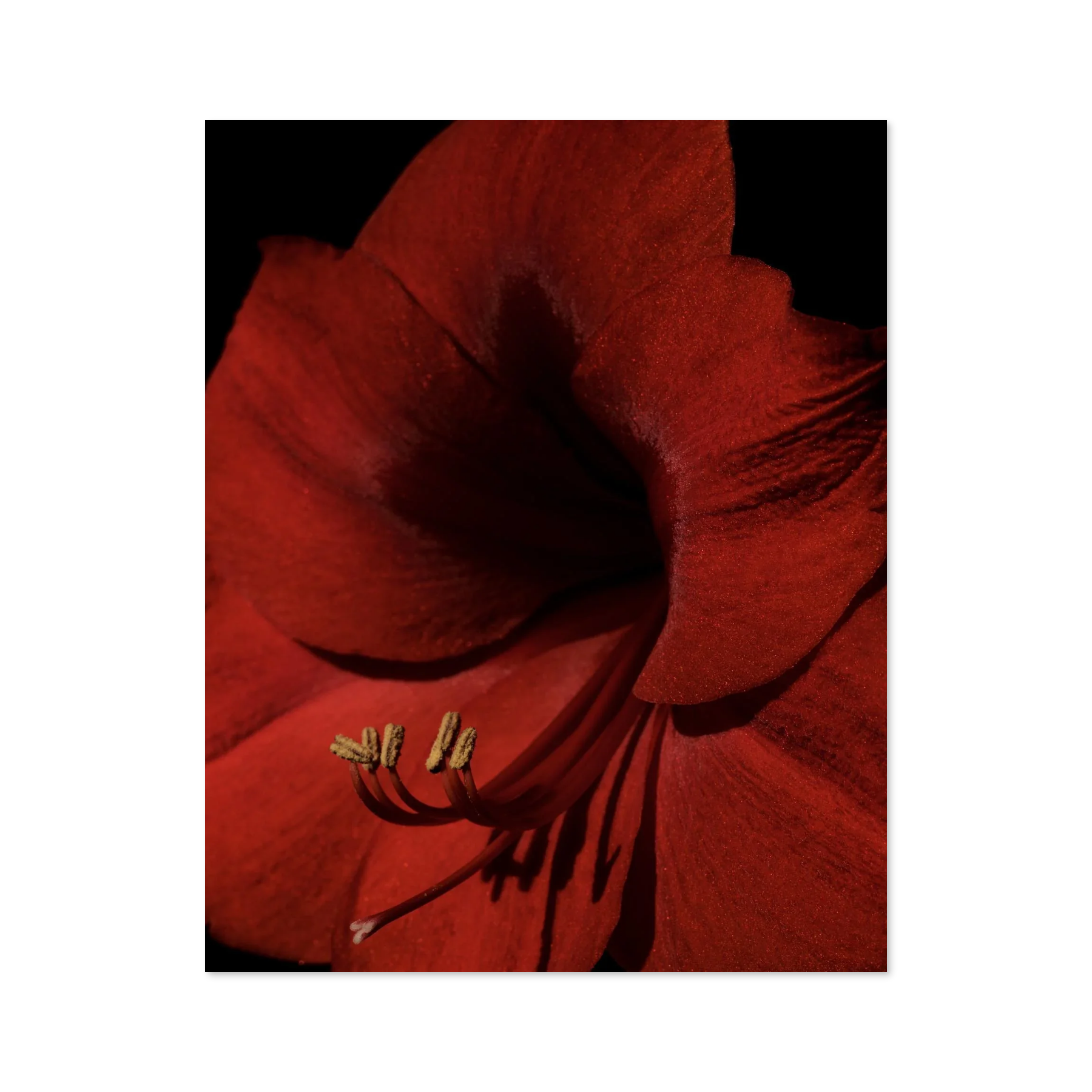 Image rendered by ArtFlows