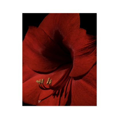 Image rendered by ArtFlows