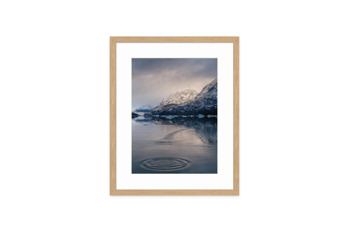 Image rendered by ArtFlows