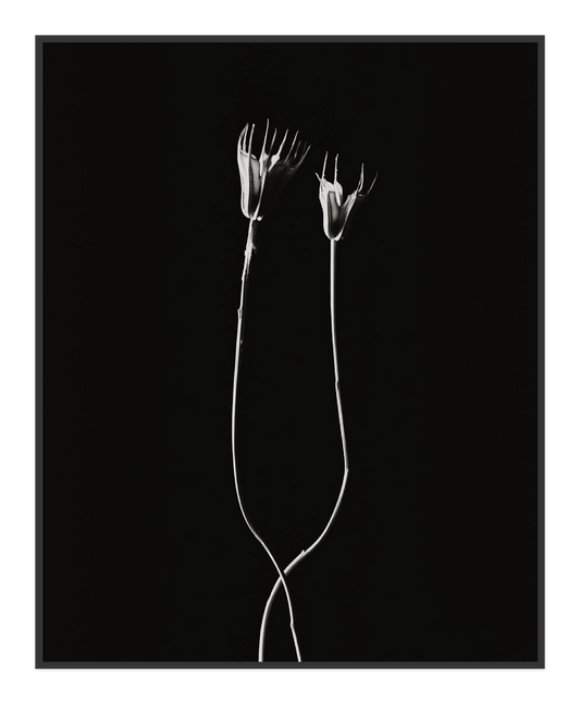 Image rendered by ArtFlows