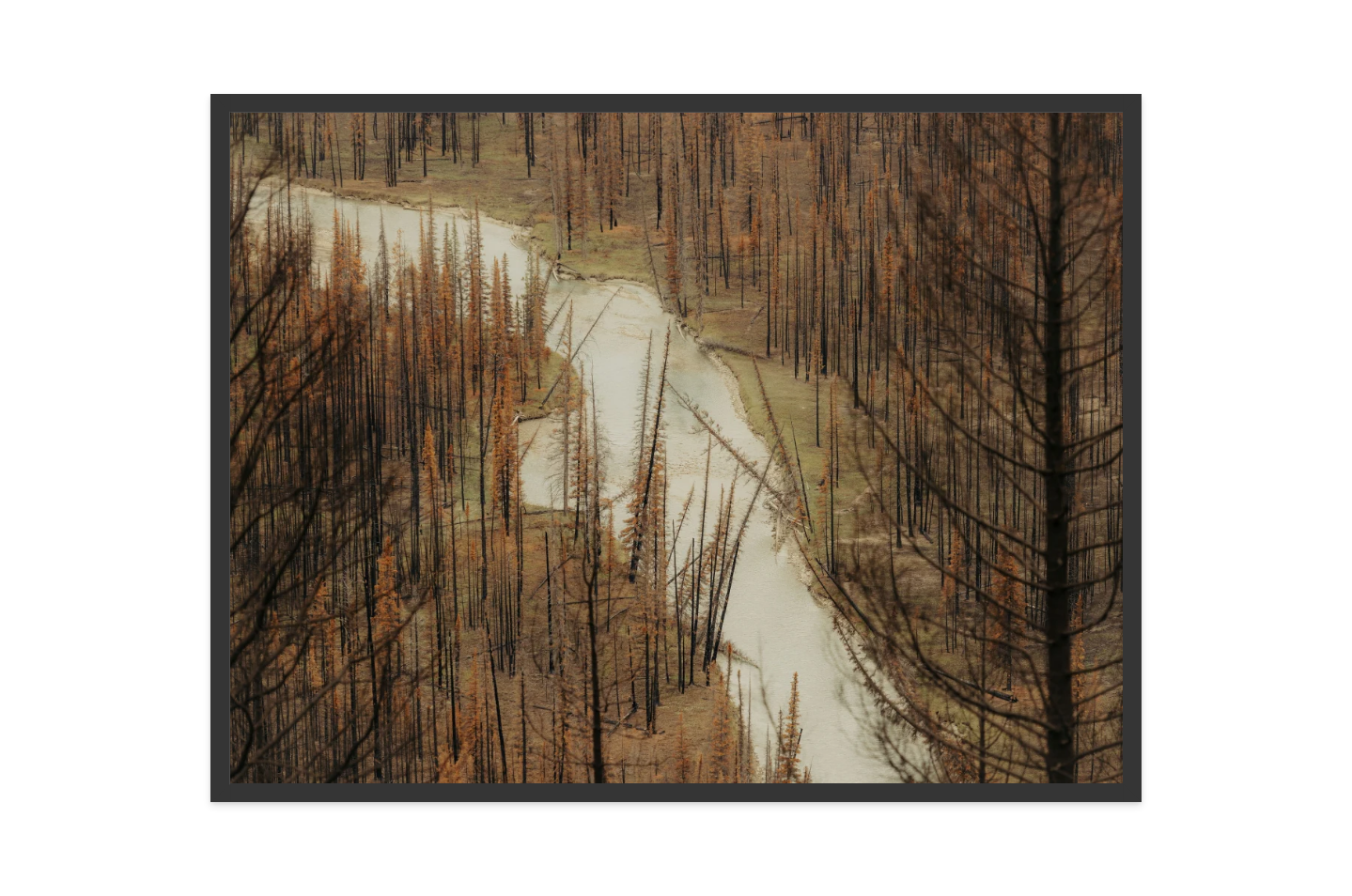 Image rendered by ArtFlows