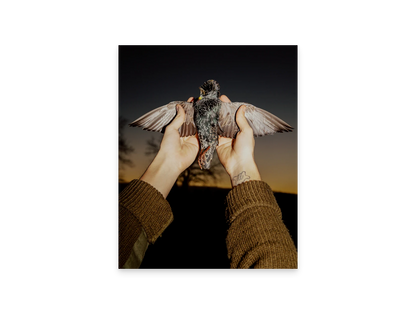 Image rendered by ArtFlows