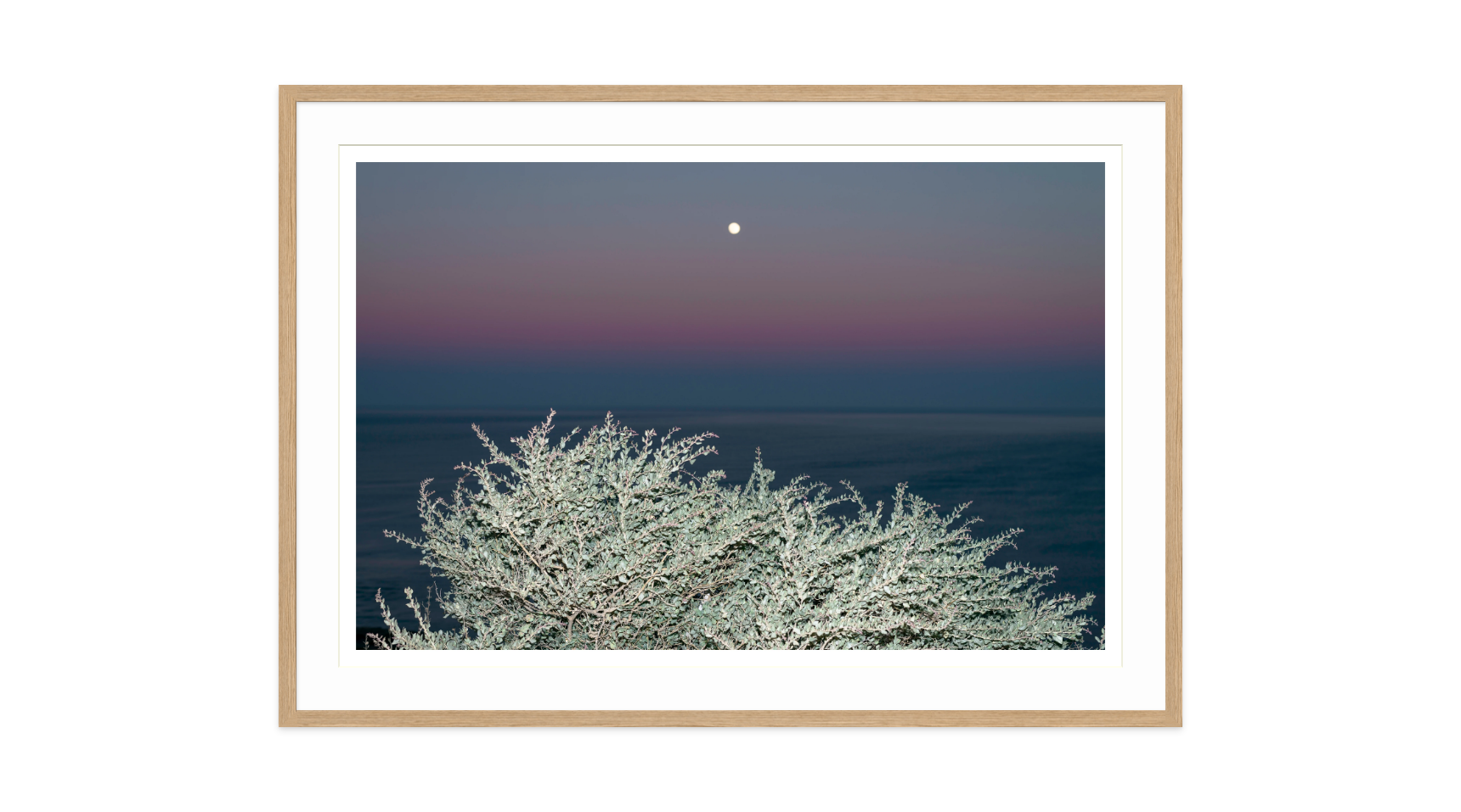 Image rendered by ArtFlows