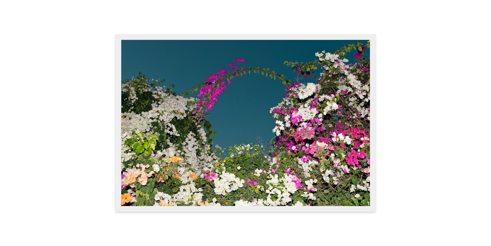 Image rendered by ArtFlows