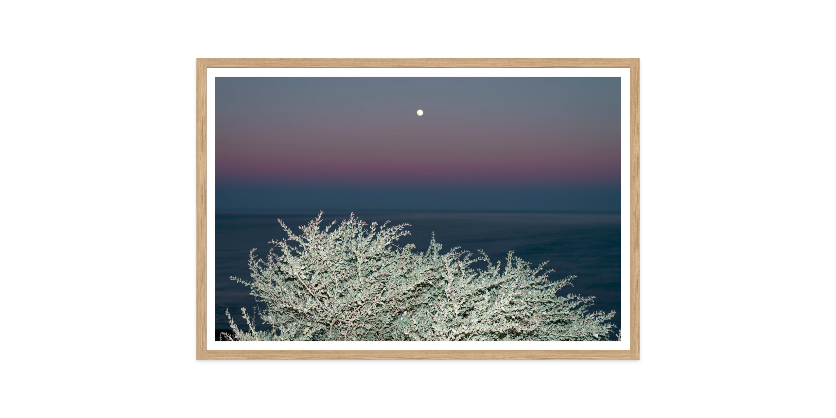 Image rendered by ArtFlows