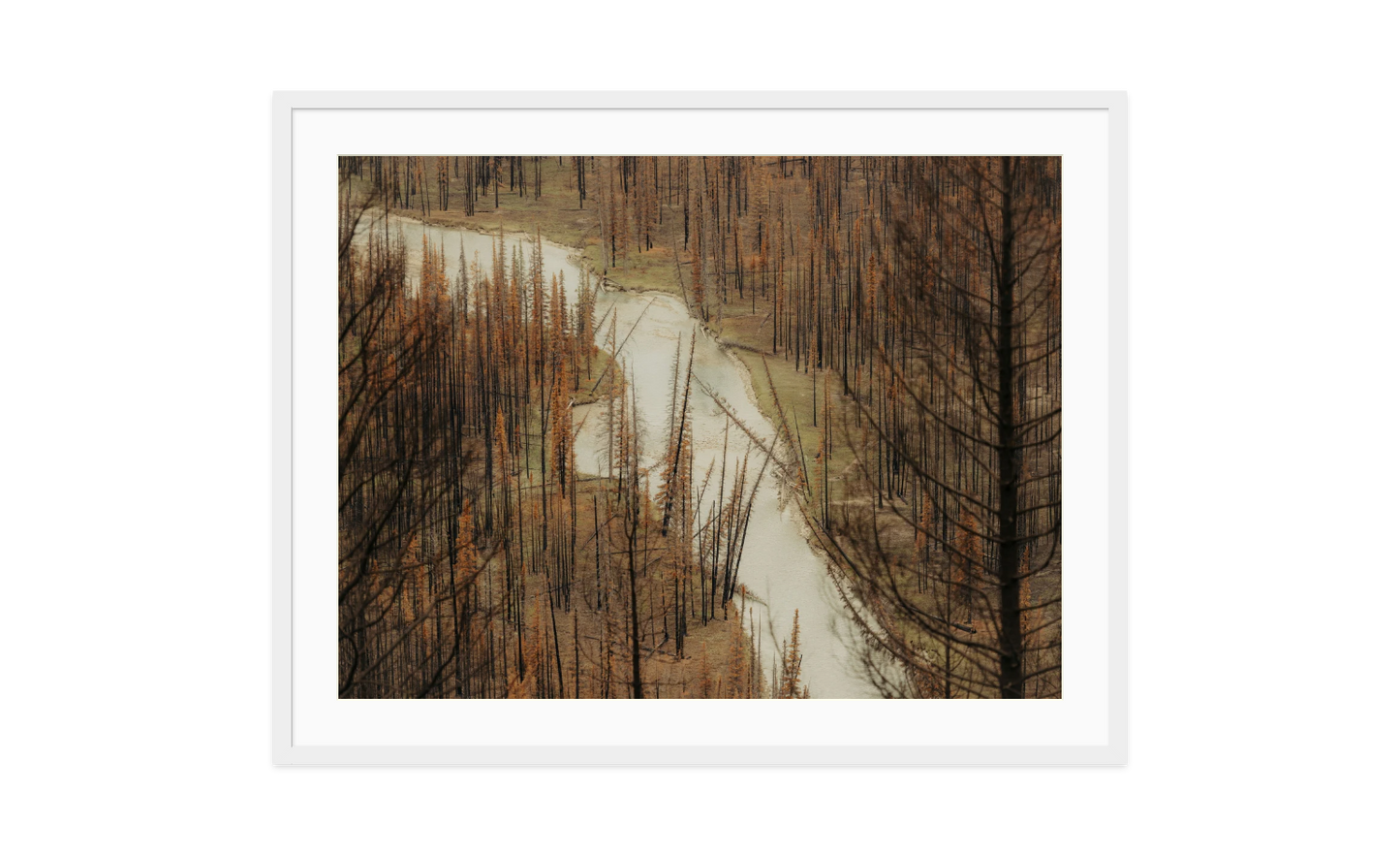 Image rendered by ArtFlows