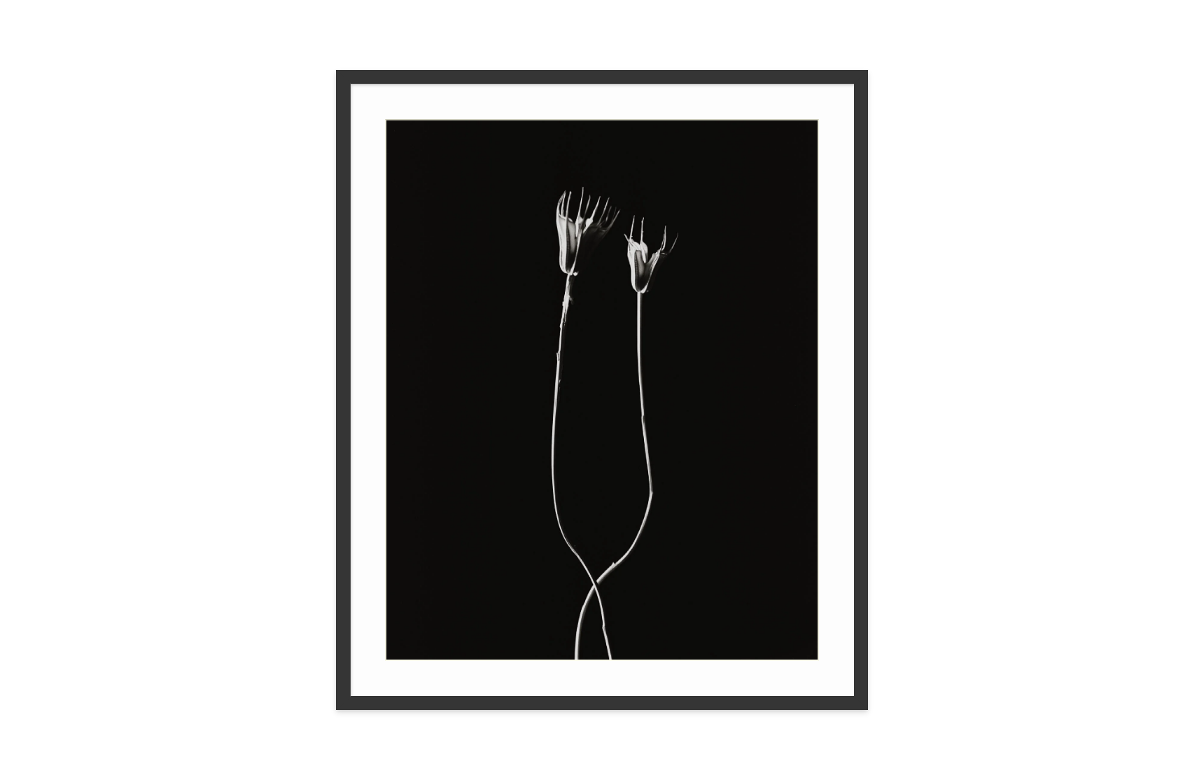 Image rendered by ArtFlows