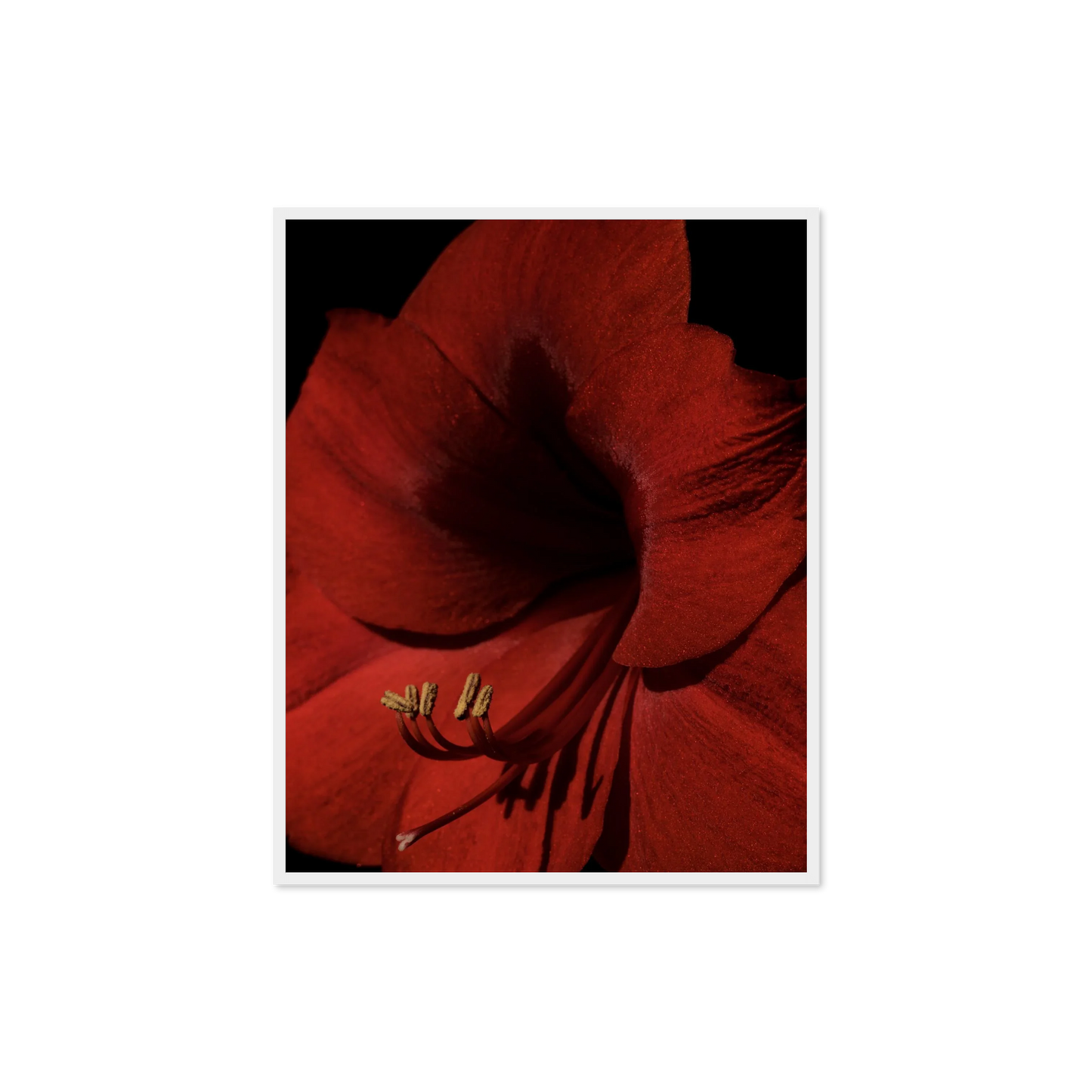Image rendered by ArtFlows