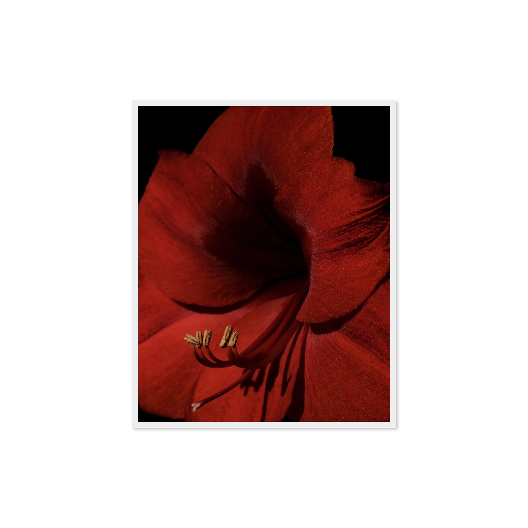 Image rendered by ArtFlows
