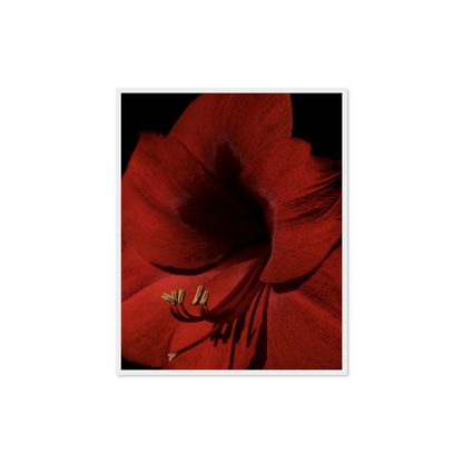 Image rendered by ArtFlows