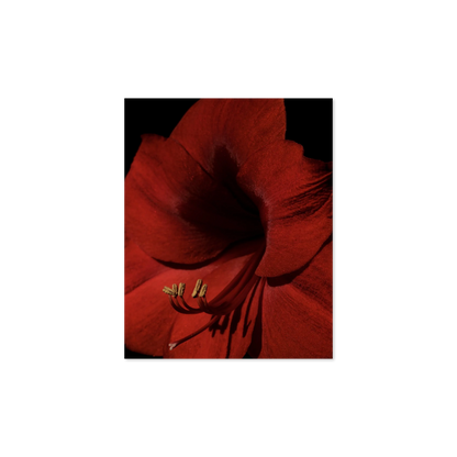 Image rendered by ArtFlows