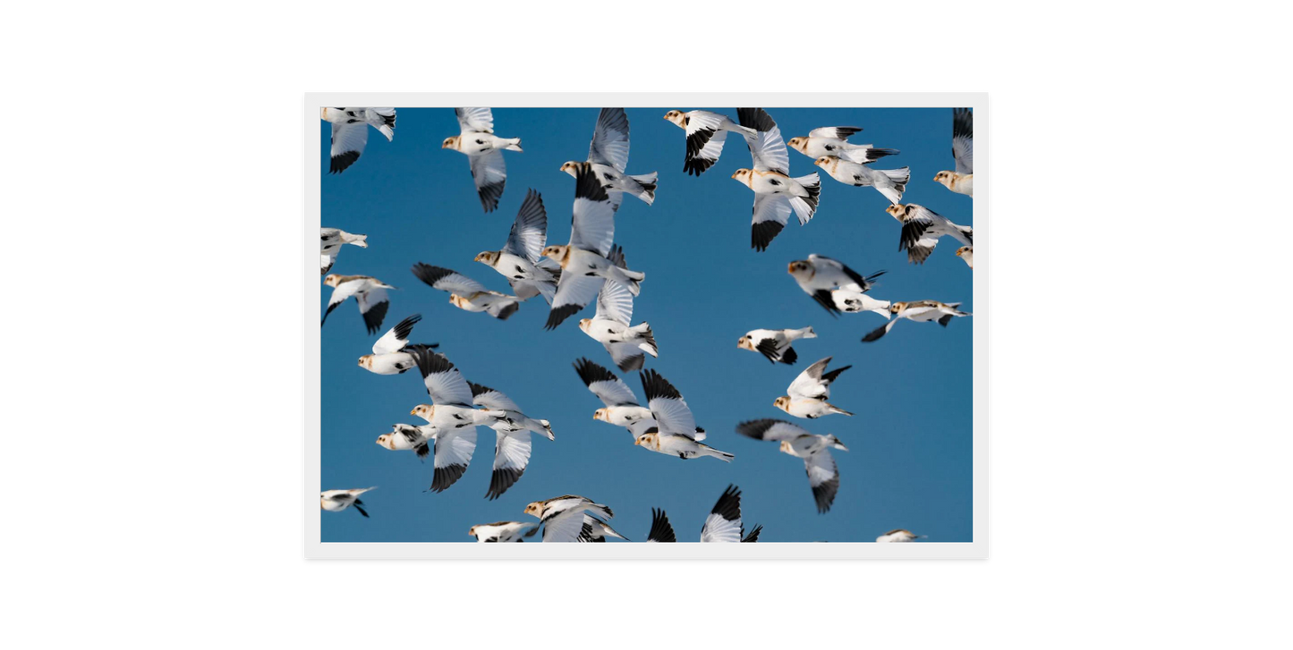 Image rendered by ArtFlows