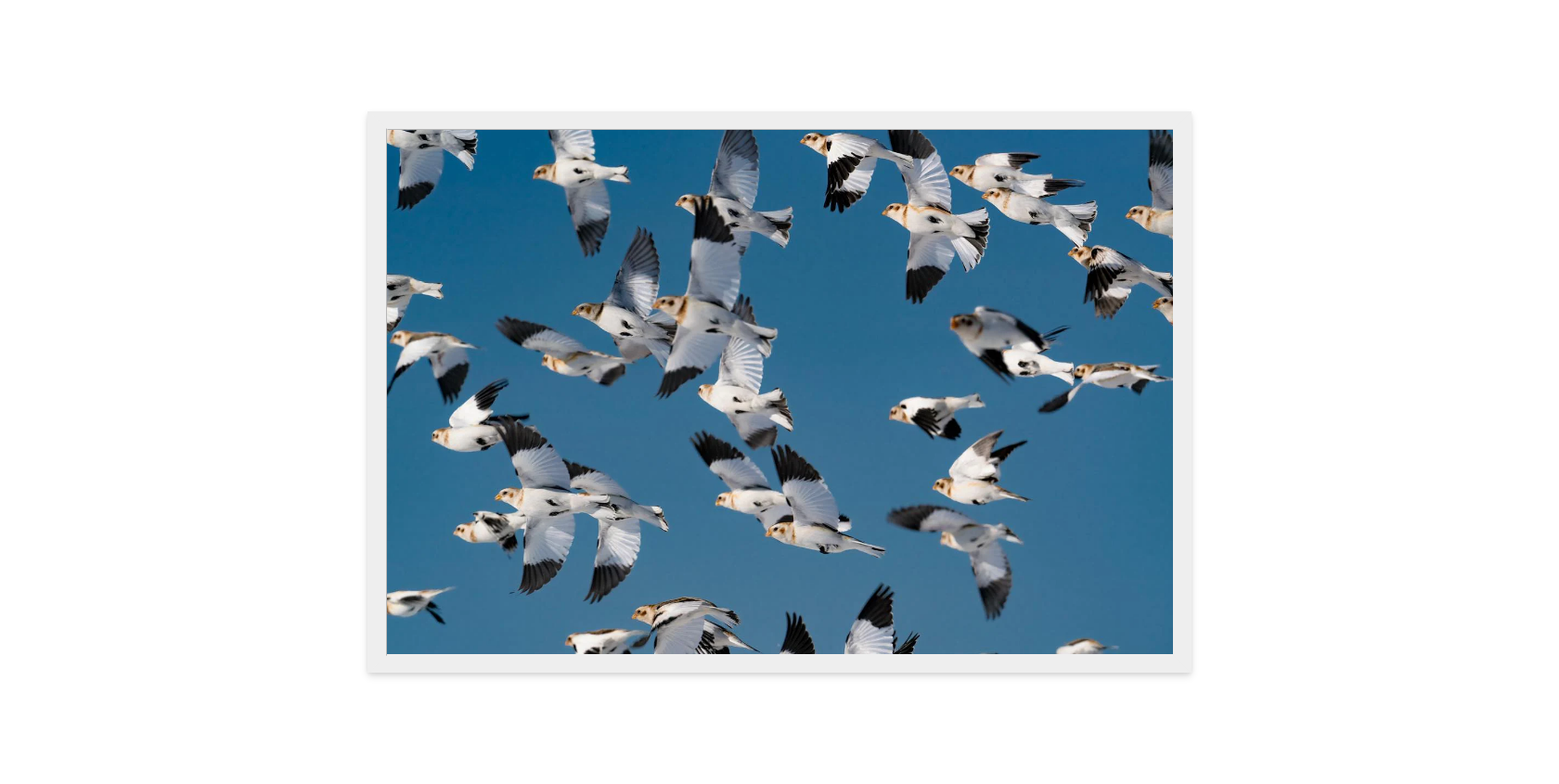 Image rendered by ArtFlows