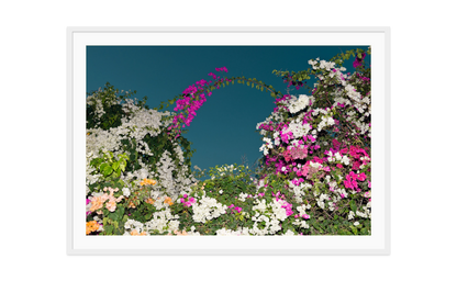 Image rendered by ArtFlows