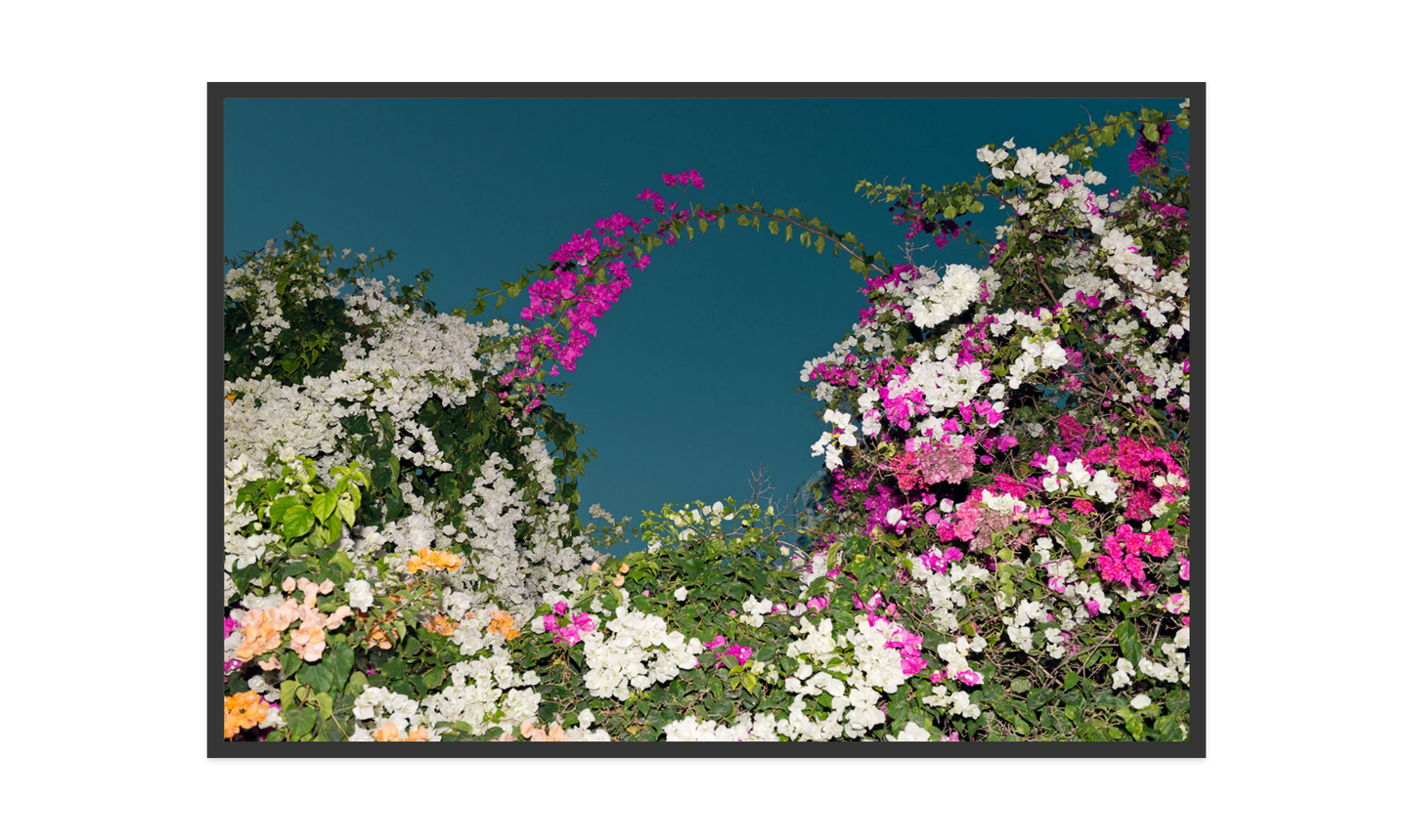 Image rendered by ArtFlows