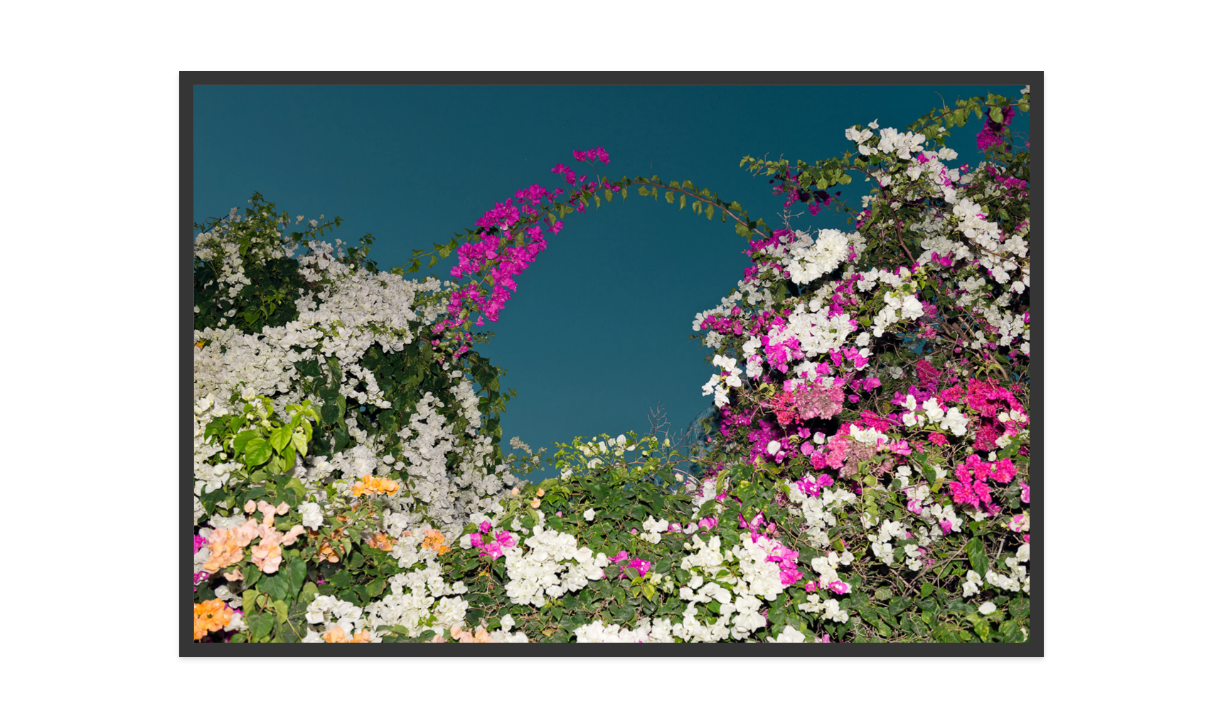 Image rendered by ArtFlows