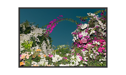 Image rendered by ArtFlows