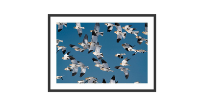 Image rendered by ArtFlows