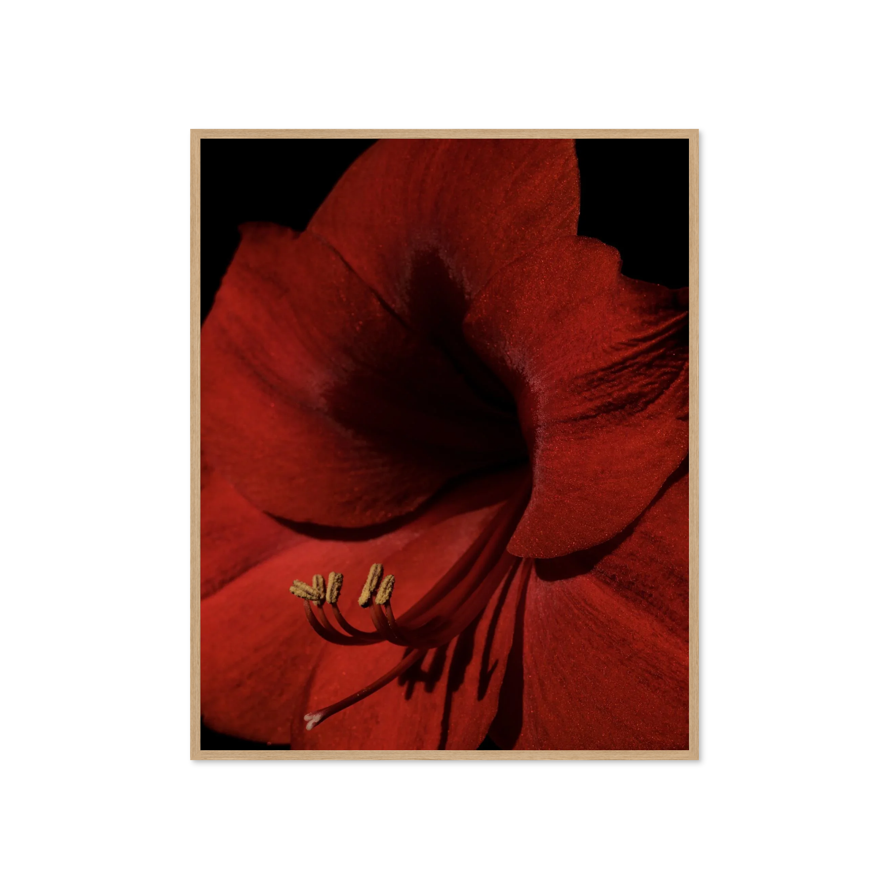 Image rendered by ArtFlows