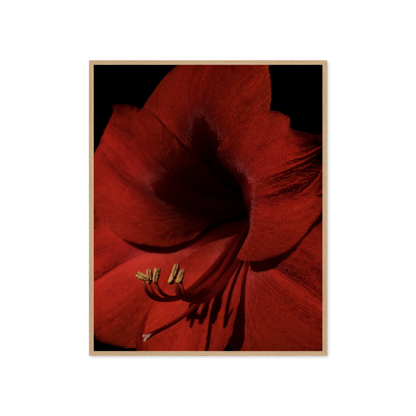 Image rendered by ArtFlows