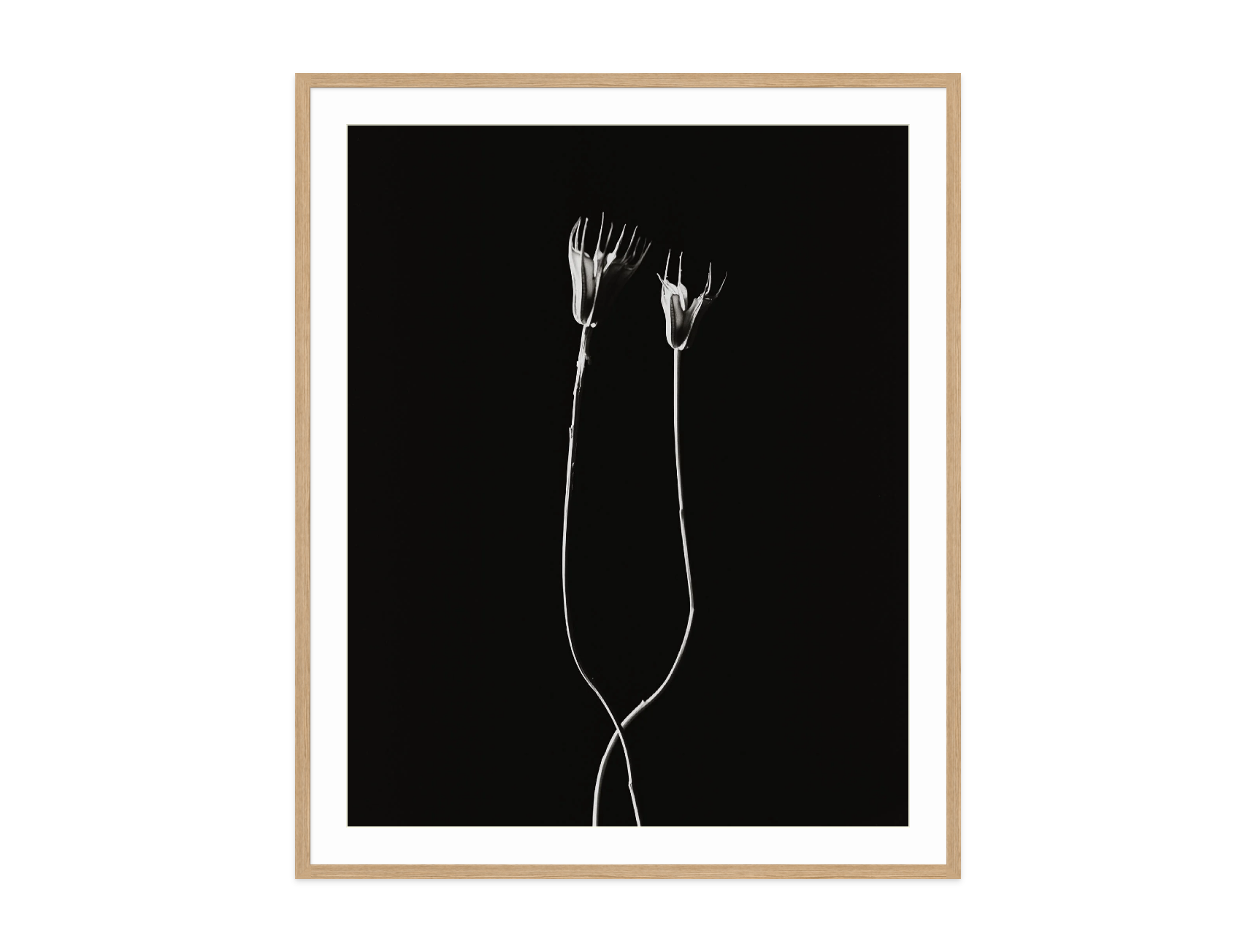 Image rendered by ArtFlows