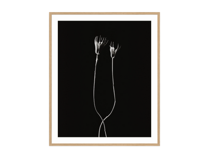 Image rendered by ArtFlows
