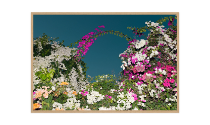 Image rendered by ArtFlows