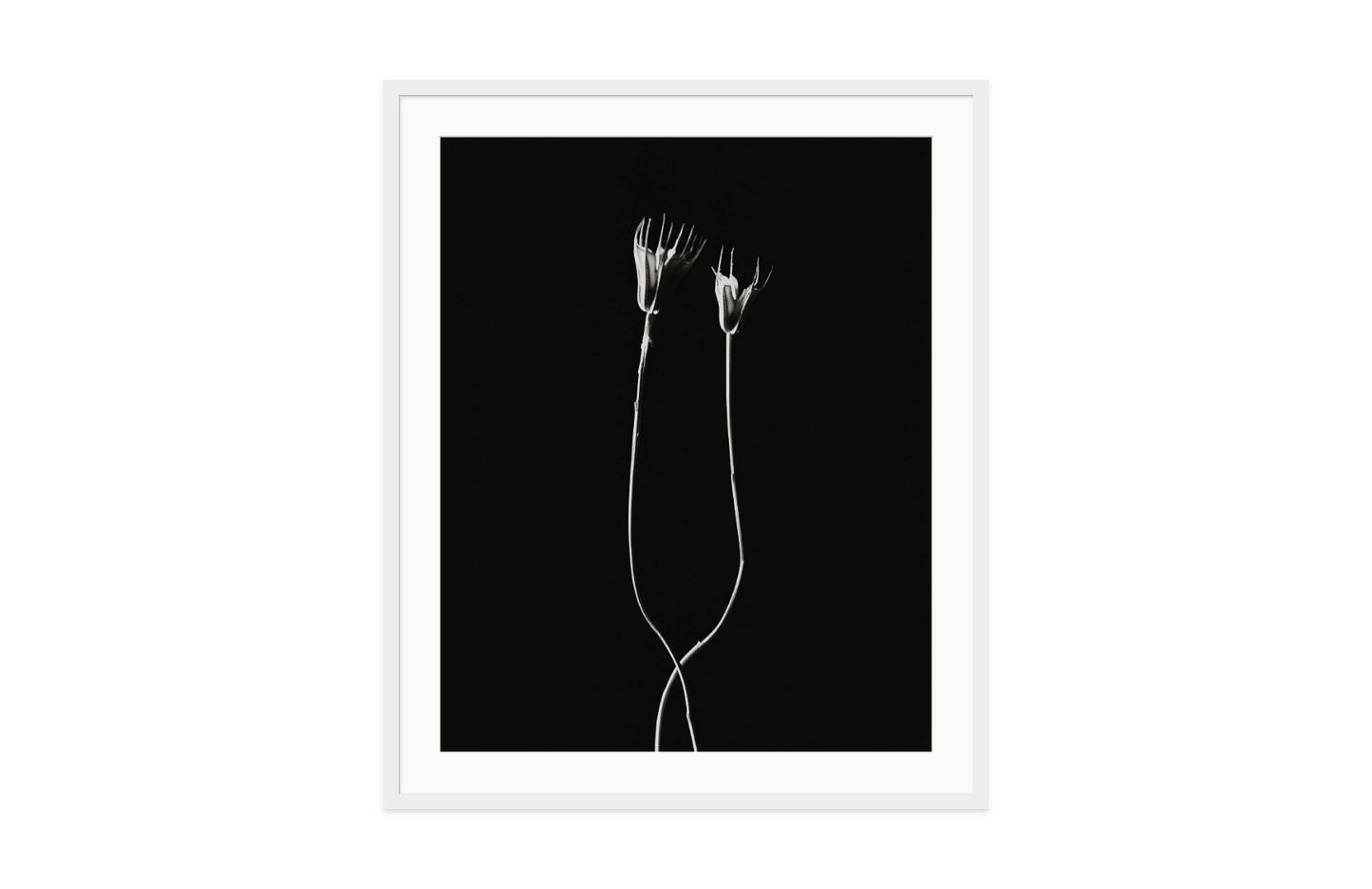 Image rendered by ArtFlows