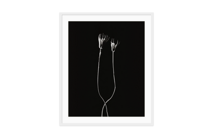 Image rendered by ArtFlows