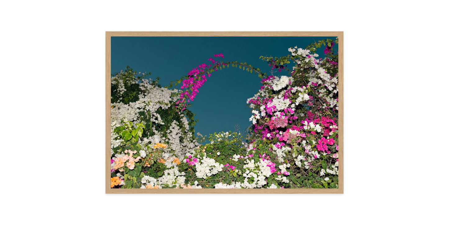Image rendered by ArtFlows