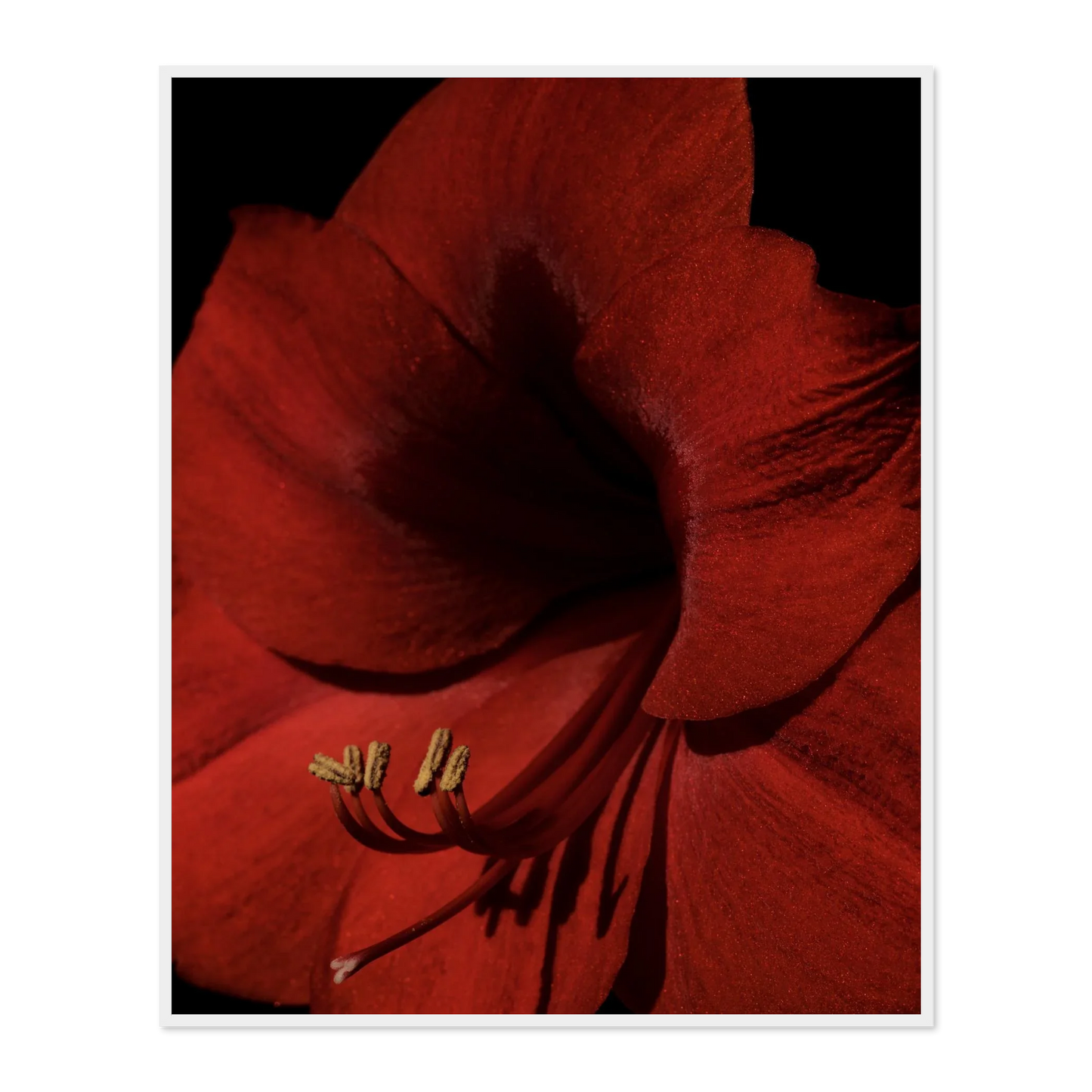 Image rendered by ArtFlows