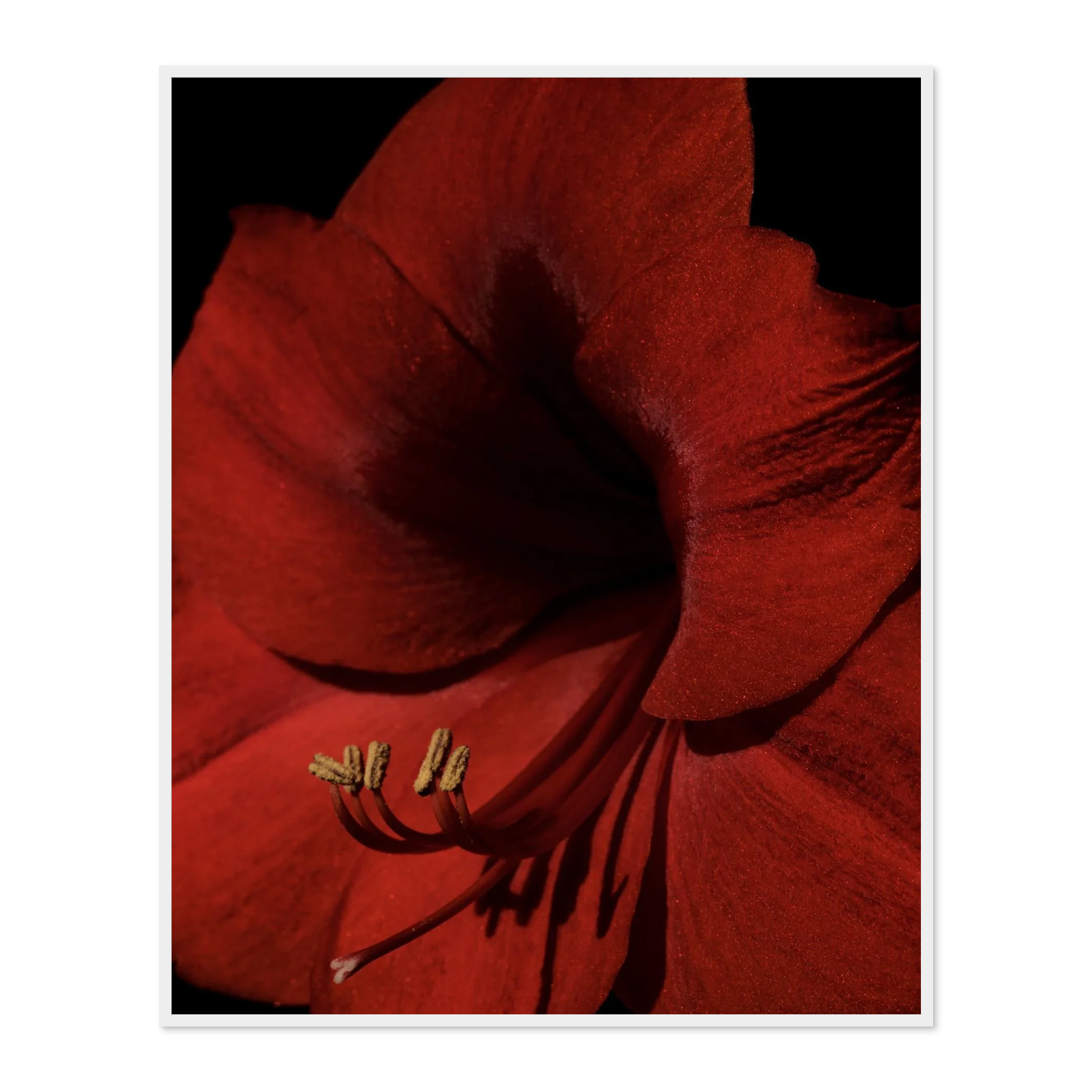 Image rendered by ArtFlows
