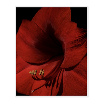 Image rendered by ArtFlows