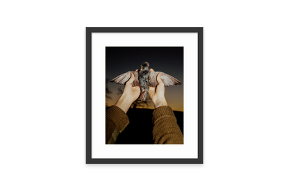 Image rendered by ArtFlows