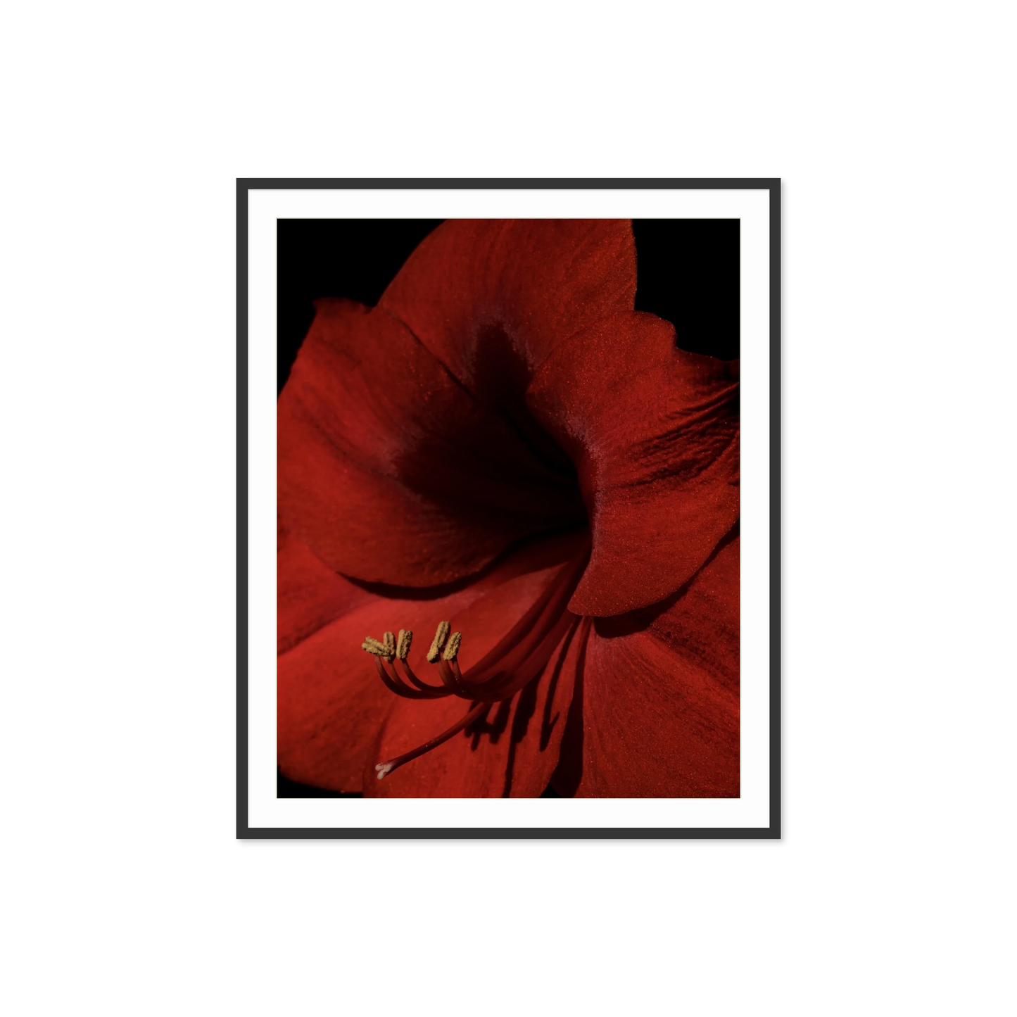 Image rendered by ArtFlows