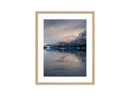 Image rendered by ArtFlows