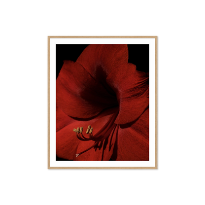Image rendered by ArtFlows